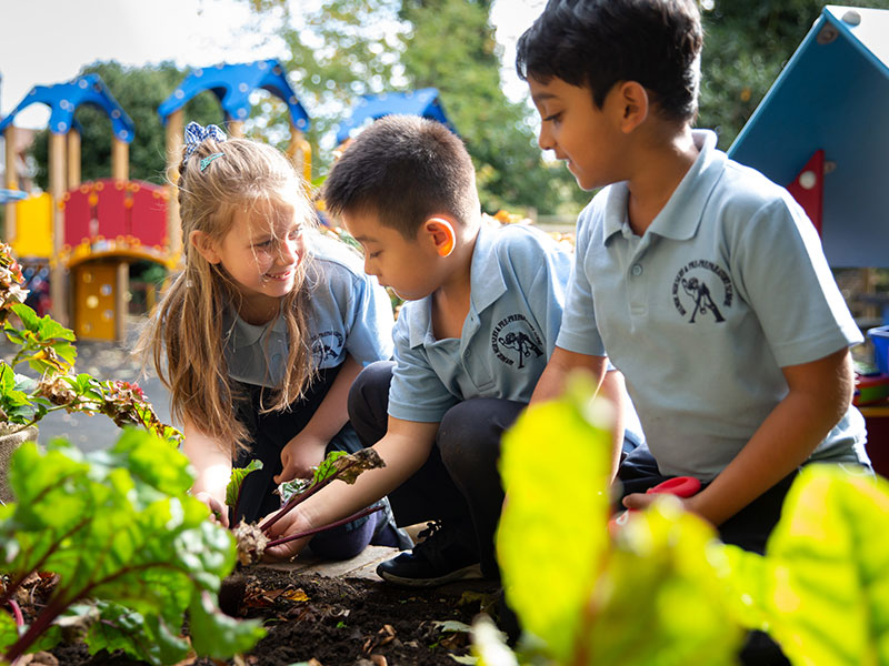 Community & PTA Gardening