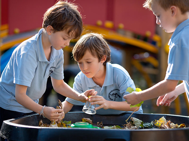 Three boys using magnifying glasses